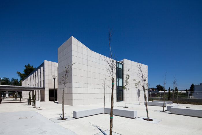 António Damásio High School